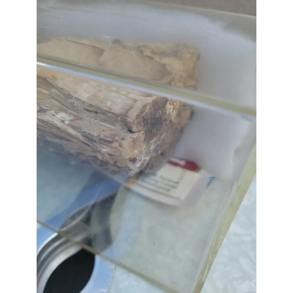 3 Lb Petrified Wood Specimen Rough Log Slab Fossil